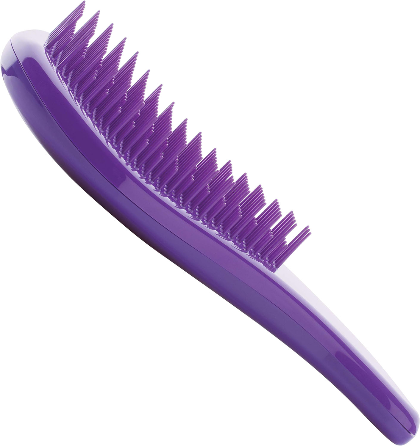  XanitaliaPro Kolor Tangle Violet 