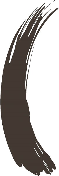  Play Up Hair Mascara marron fonc&eacute; 