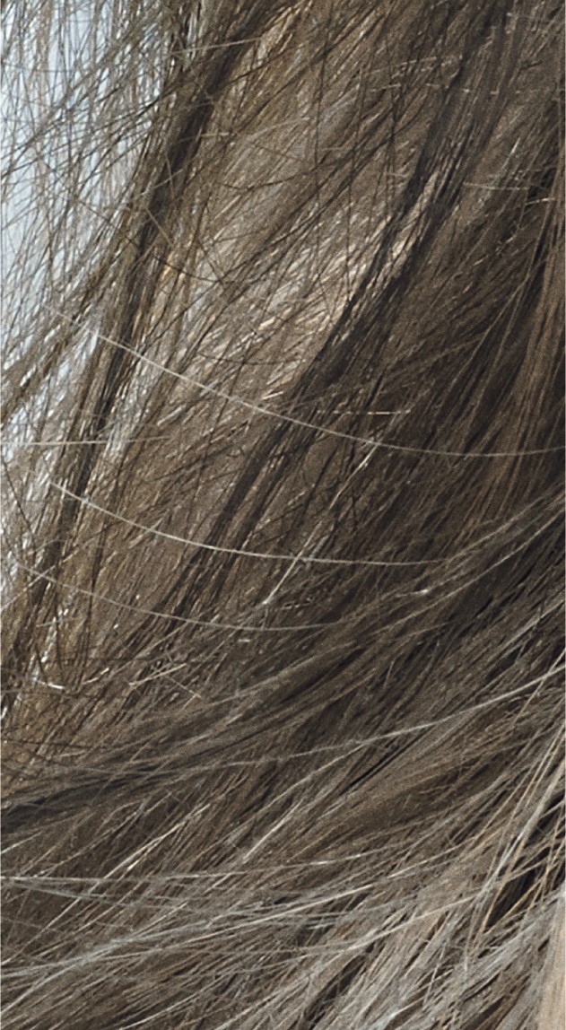  Goldwell Topchic 8CA Cool Cendre 60 ml 