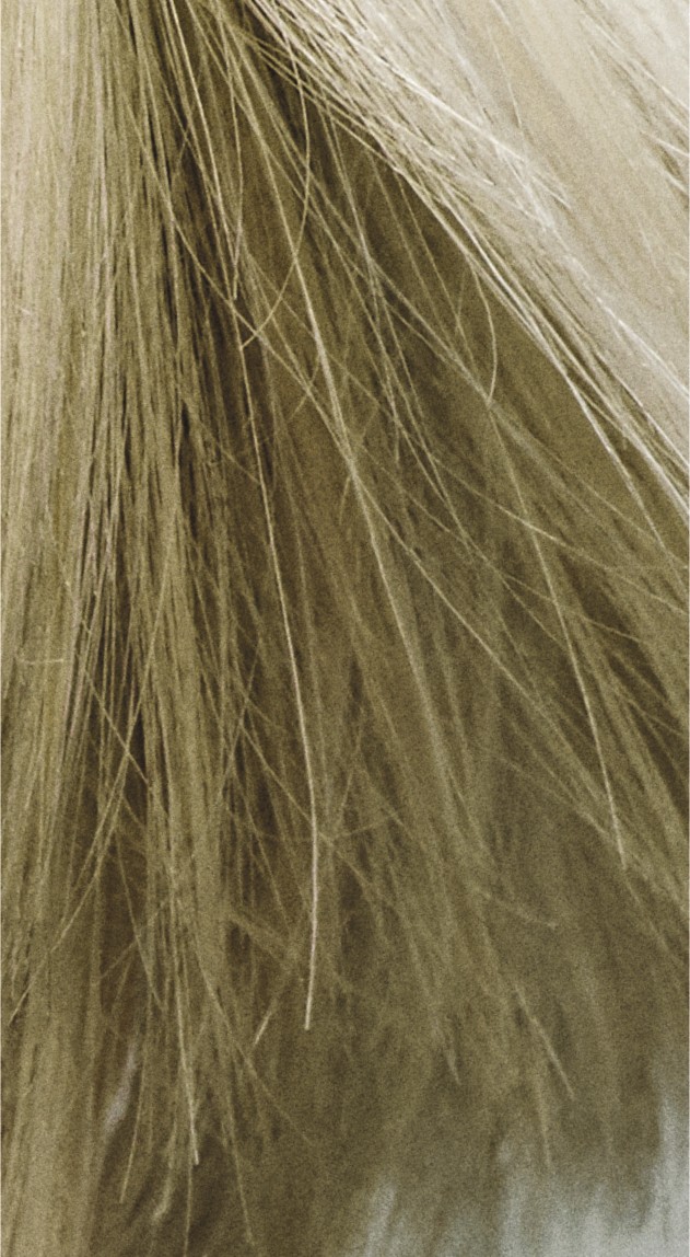  Goldwell Colorance 9MB Jade Blond 