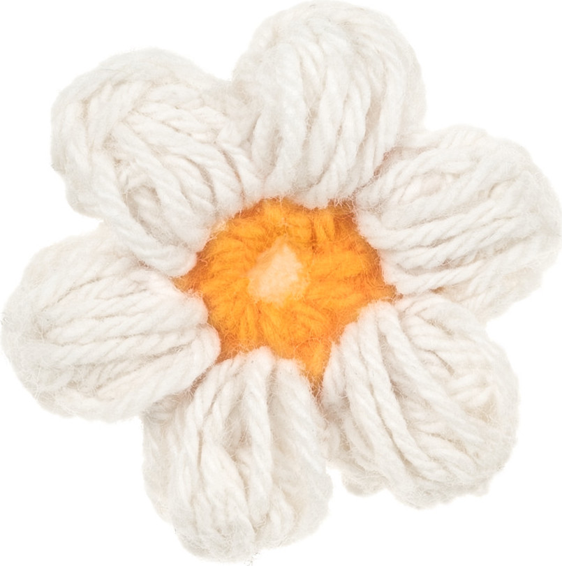  invisibobble MyClaw L Picnic Pop 